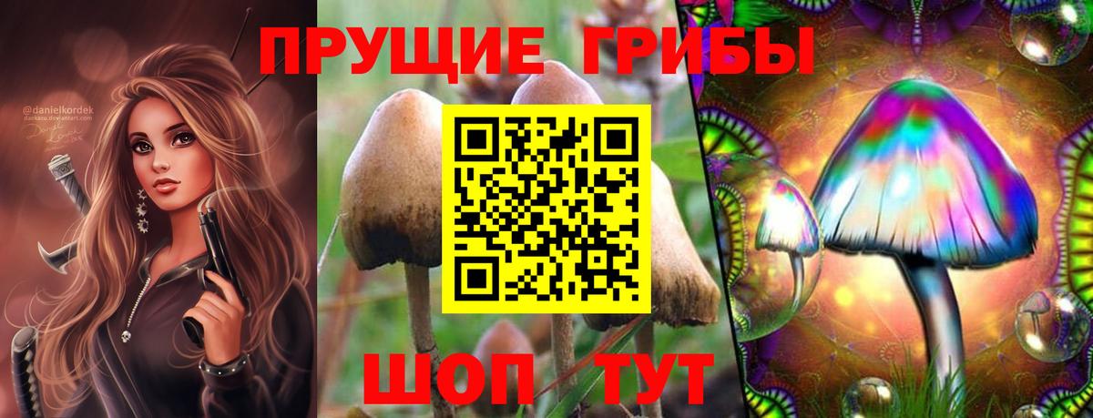 Верхняя Салда  Псилоцибиновые грибы GOLDEN TEACHER  Вход с VPN 